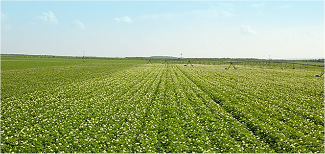 万利·(中国区)官方网站入口